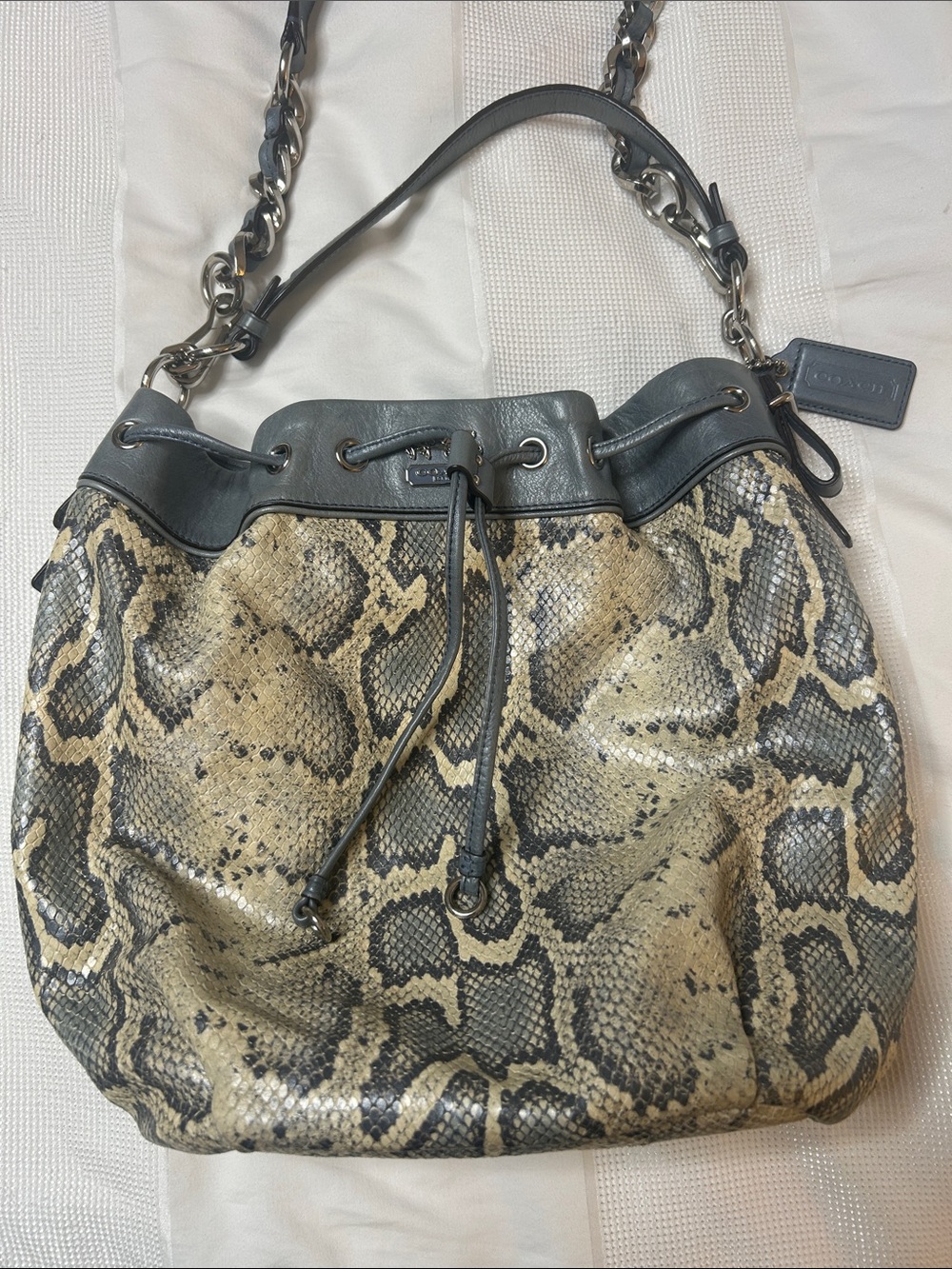Coach Madison Marielle Python Bag Blue Gray